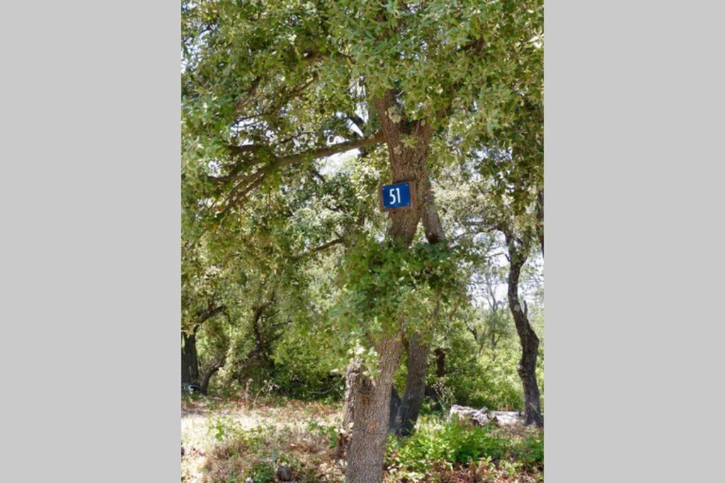 Studio Tudo Bem Villeneuve-lès-Avignon Εξωτερικό φωτογραφία